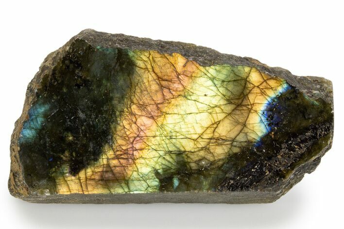 Single Side Polished Labradorite Section - Madagascar #324638